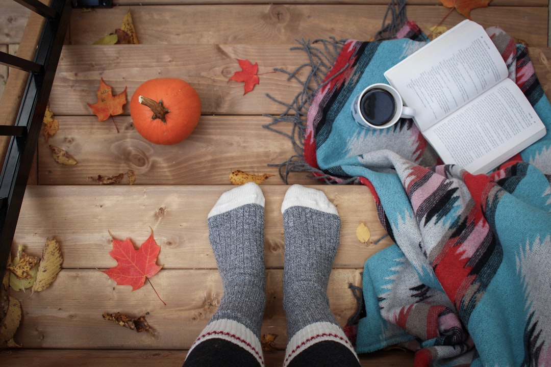 Oude houten kast met nieuwe herfstkleuren. Oude houten kast met nieuwe herfstkleuren.