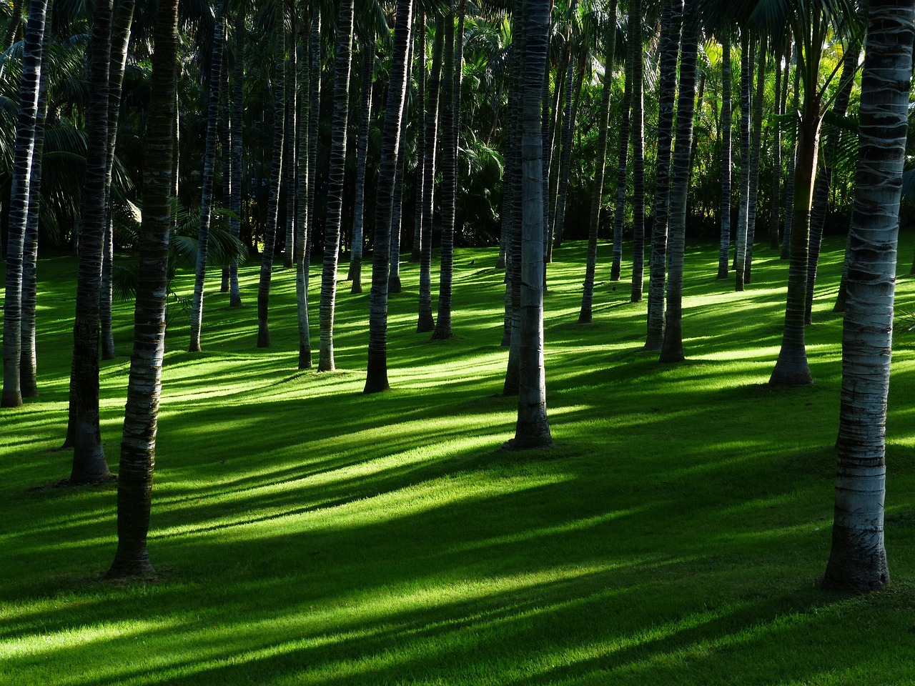 Romantische Italiaanse tuinposter met Toscaanse zonsondergang